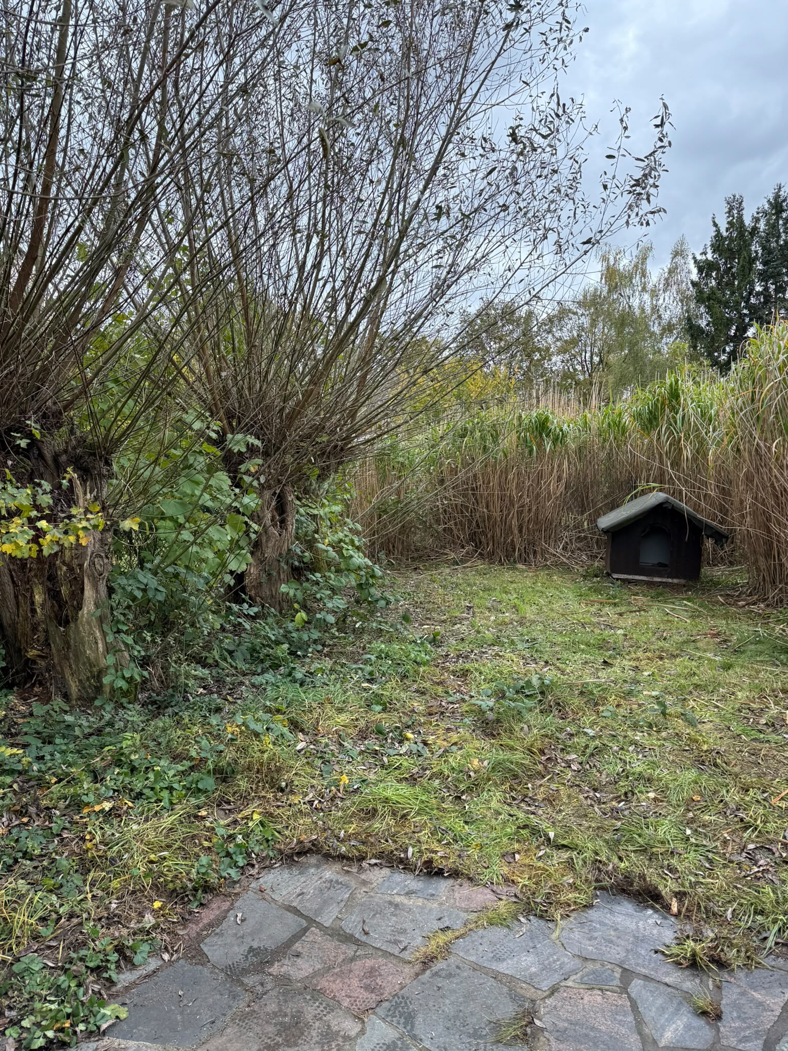 Nachher: Geräumter Garten